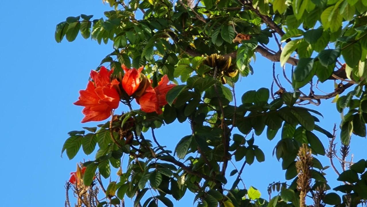 Finca Dona Maria Benalmádena Eksteriør billede